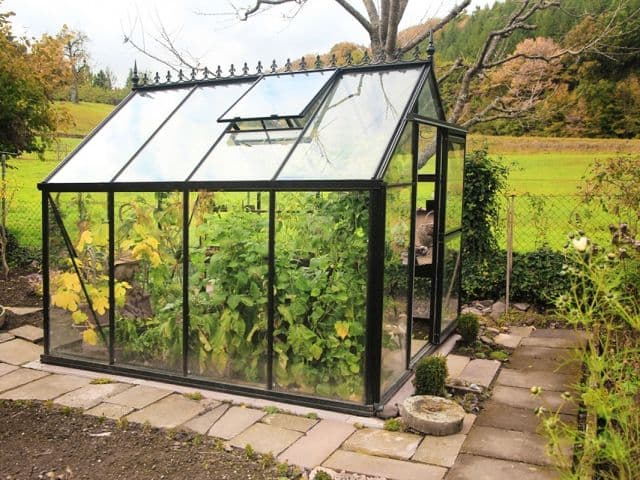 Junior Victorian теплицы