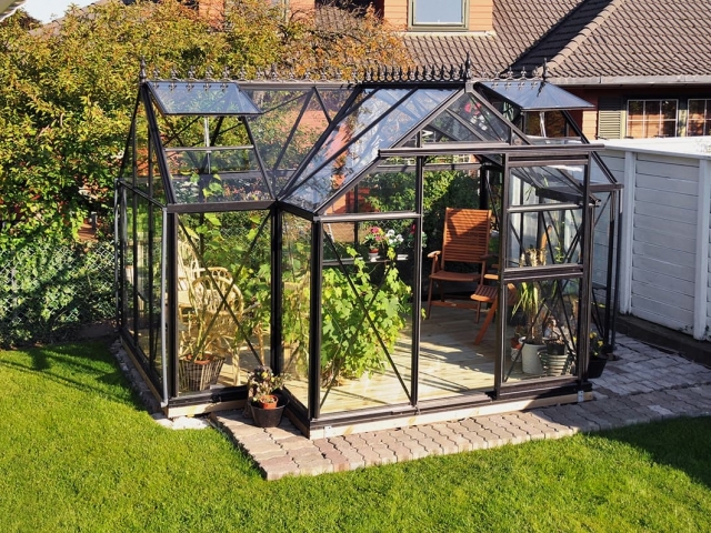 Junior T-оранжерея