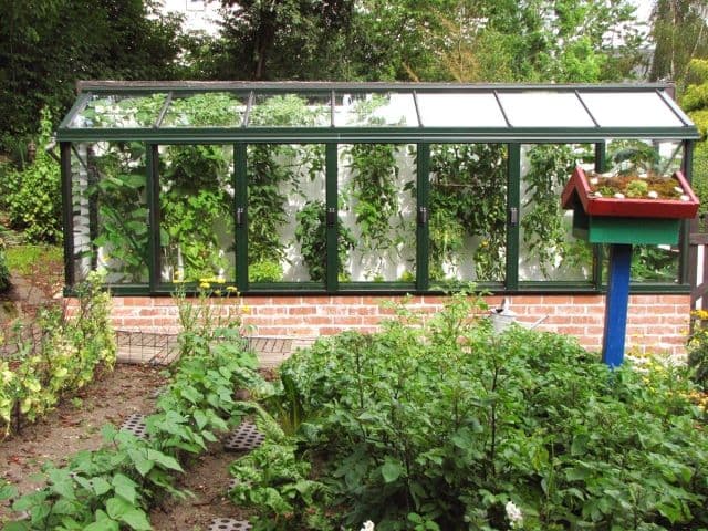 Arcadia Mur теплицы