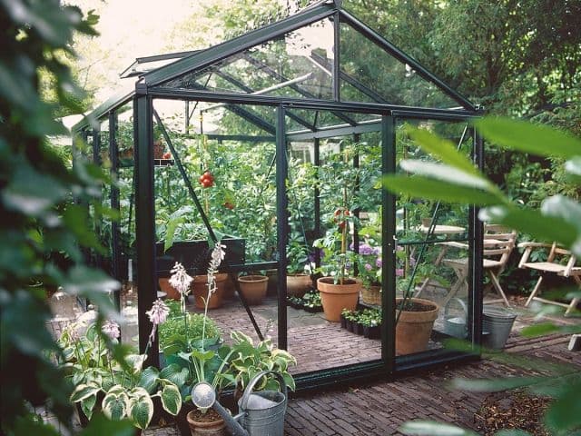 Senior Victorian теплицы